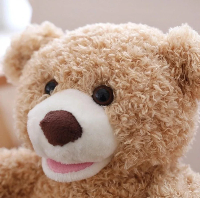 Playtime Bear (Rechargeable)